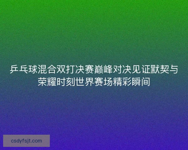 乒乓球混合双打决赛巅峰对决见证默契与荣耀时刻世界赛场精彩瞬间