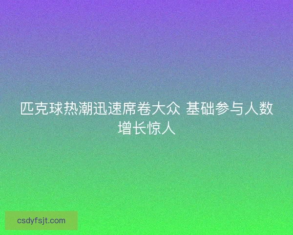 匹克球热潮迅速席卷大众 基础参与人数增长惊人